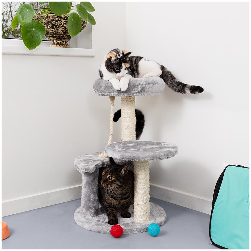 Betaalbare Krabpaal voor Jouw Kat bij Action