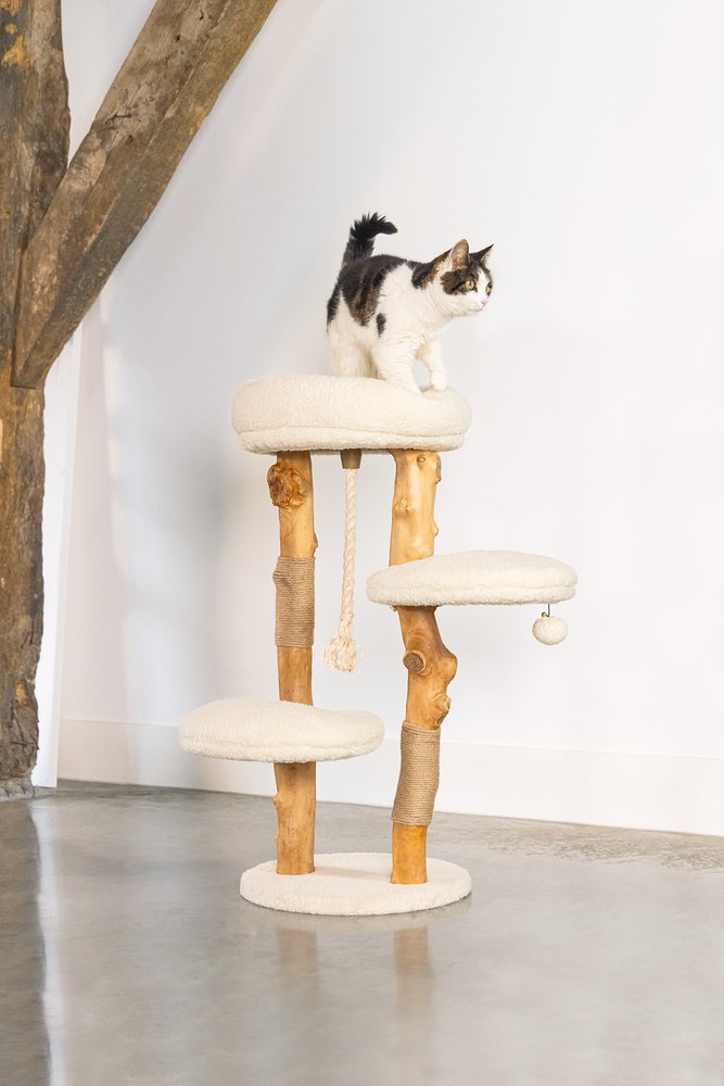 De Perfecte Krabpaal voor Gelukkige Katten: Een Must-Have Accessoire!