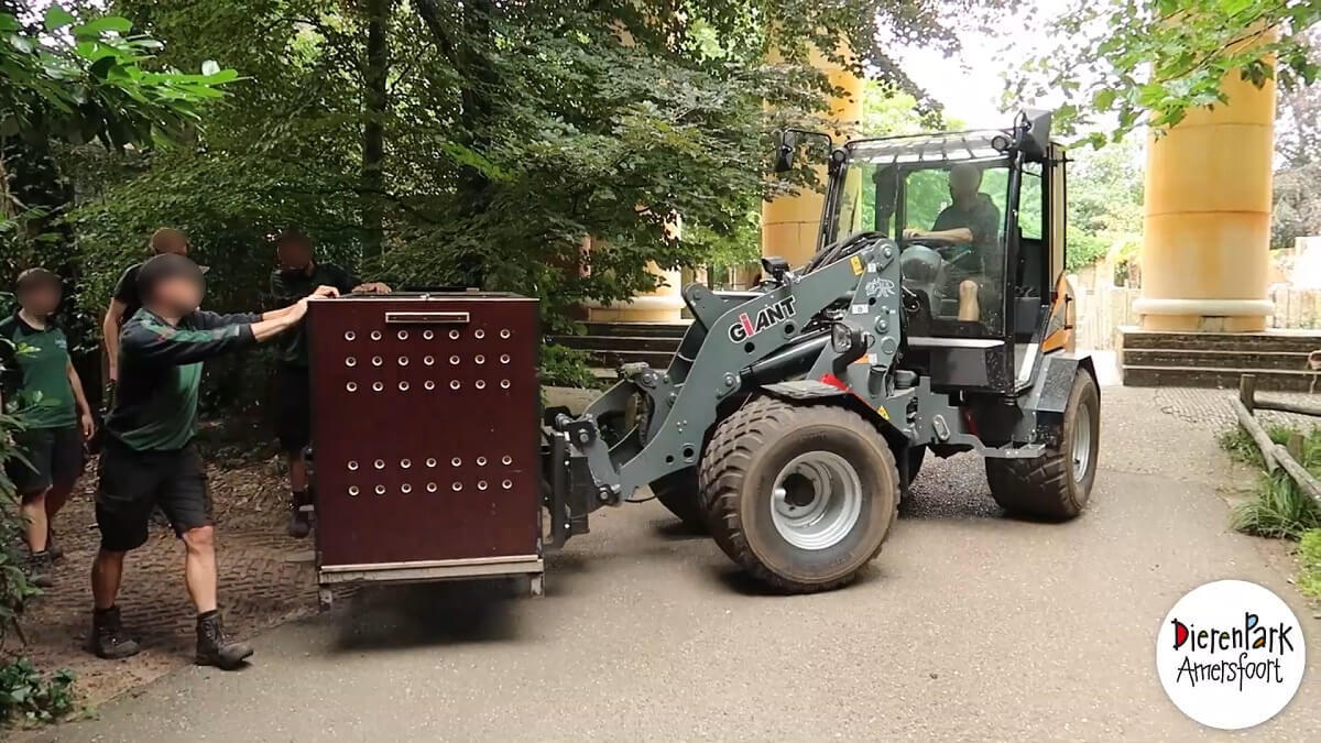 Het Belang van een Doordacht Fokprogramma voor Rasverbetering