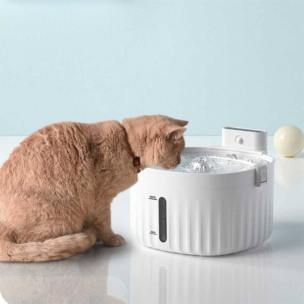 Ontdek de Voordelen van een Katten Drinkfontein voor Jouw Kat!