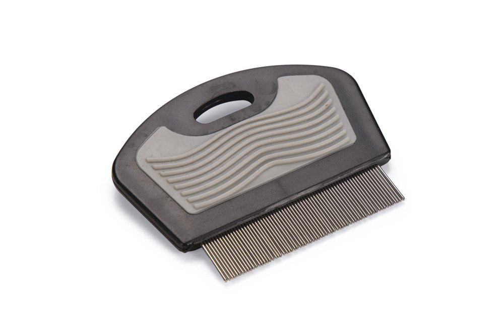 Essentiële kattenverzorgingstips voor een gelukkige en gezonde kat