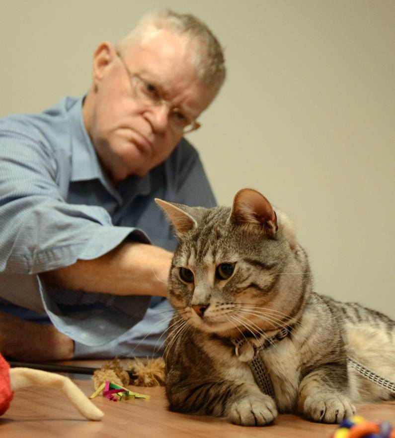 Optimaliseer het Kattenwelzijn en de Zorg: Een Gids voor Gelukkige Katten