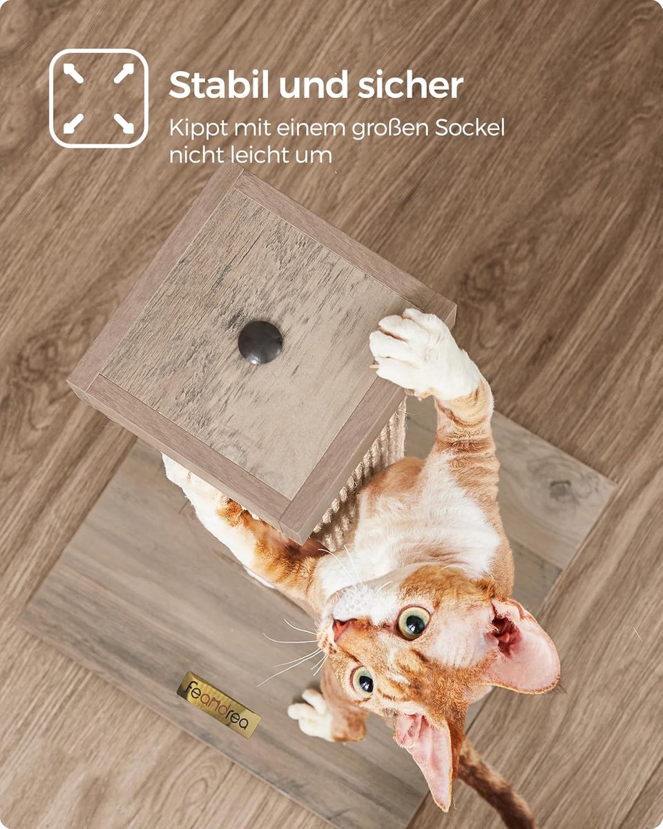 Krabpaal Grote Katten Outlet: De Ideale Plek voor Jouw Grote Viervoeters