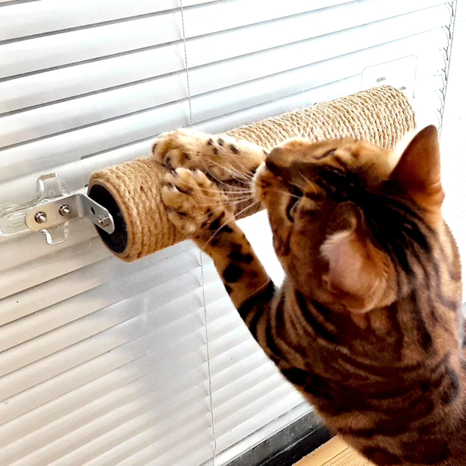 De ideale krabpaal voor jouw speelse kitten