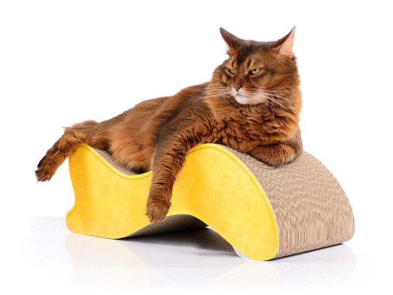 Ontdek de Voordelen van een Krabplank voor je Kat