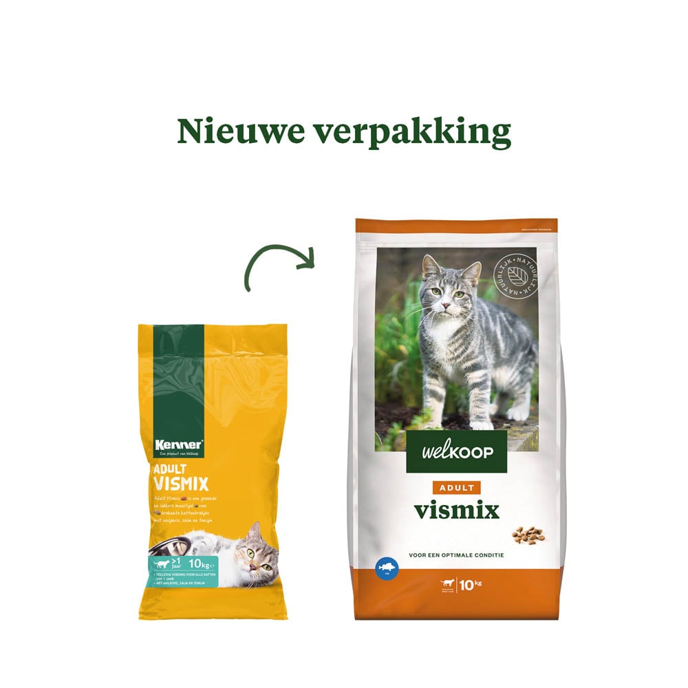 Alles over de juiste voeding voor katten: tips en advies