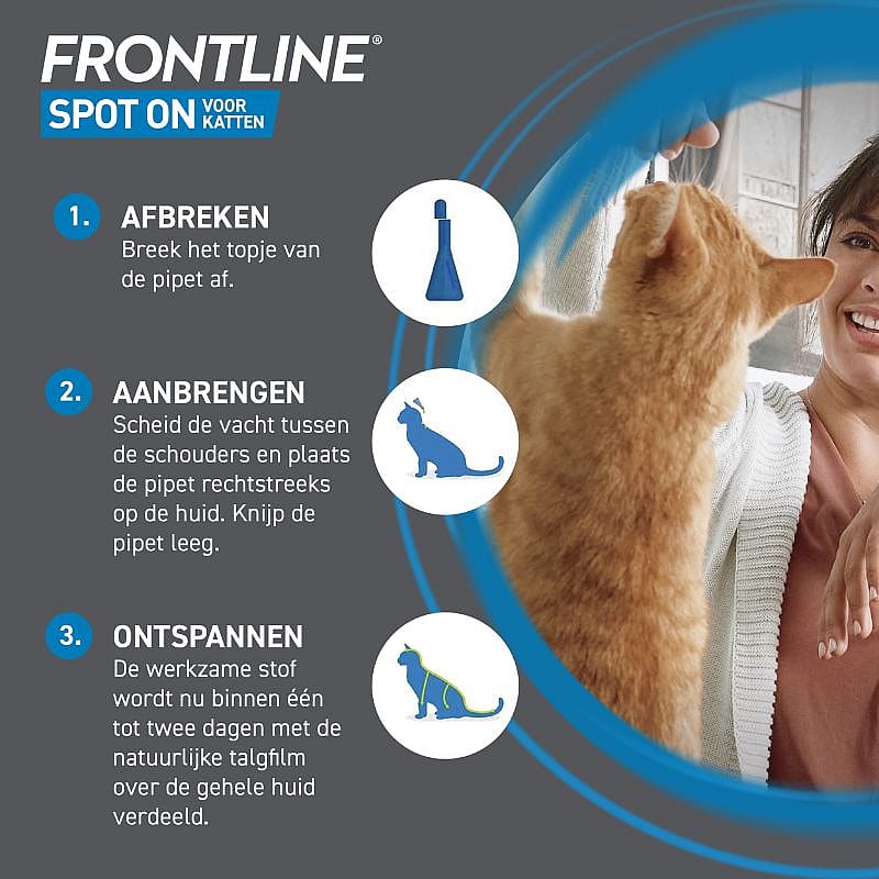 Effectieve Bescherming Tegen Vlooien bij Katten met Pipetbehandeling