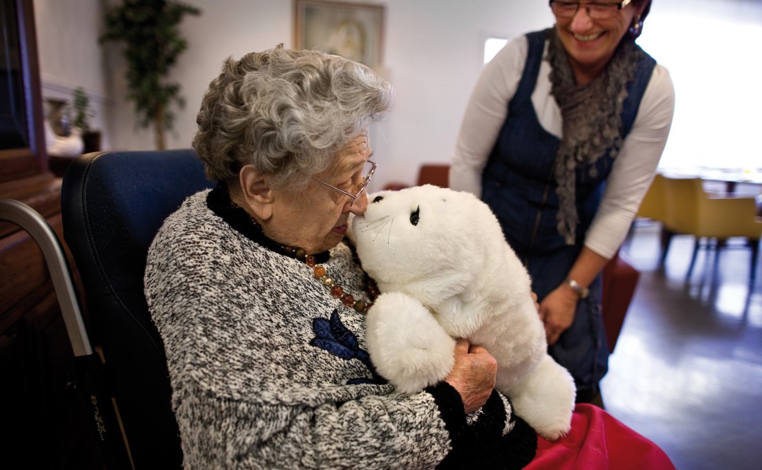 Innovatieve Gezelschap: De Opkomst van de Robot Kat