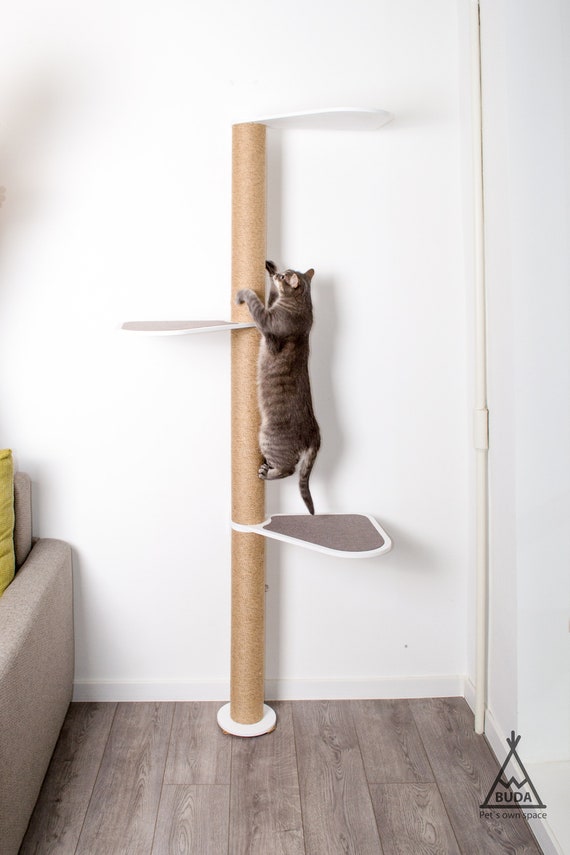 Het Belang van een Hoge Krabpaal voor Jouw Kat