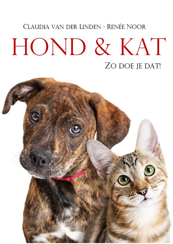 kat en hond