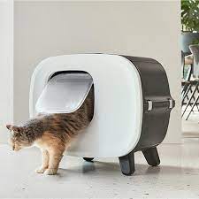 Het Belang van een Hygiënisch Kattentoilet voor Jouw Kat