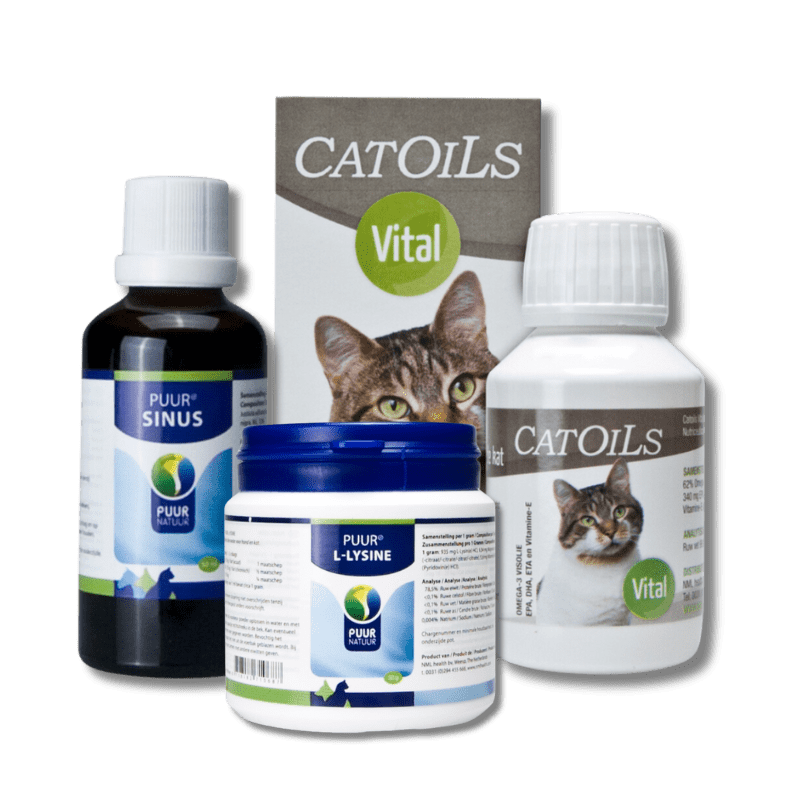 Het belang van L-lysine voor de gezondheid van jouw kat