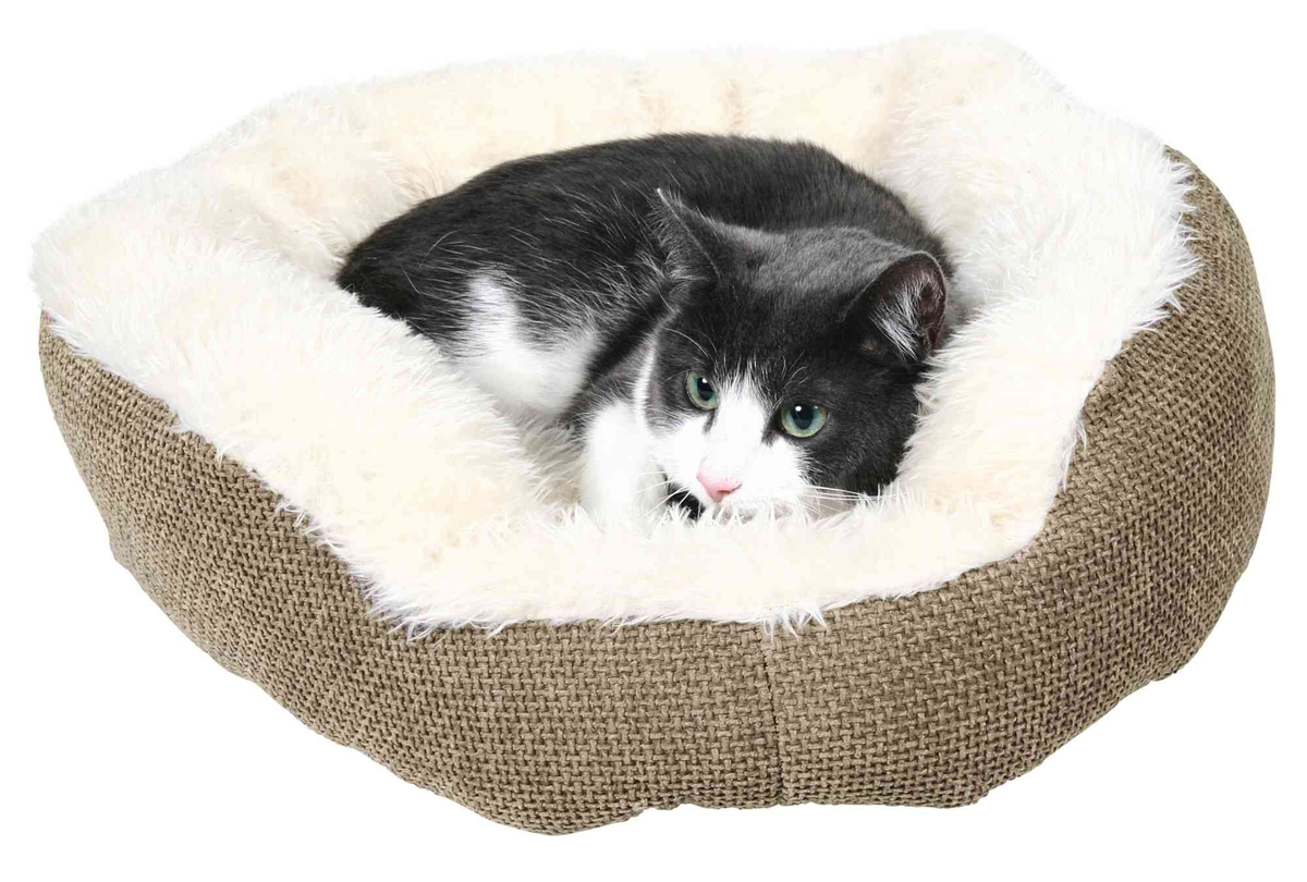 De ideale kattenmand: comfortabel en knus voor jouw geliefde kat