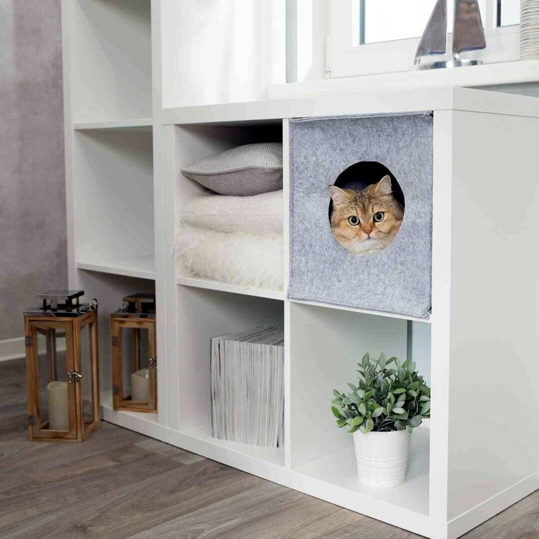 Ikea Katten: Comfortabele en Stijlvolle Accessoires voor Jouw Feline Vriend