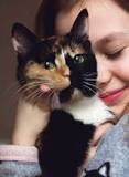 Zwarte korstjes op de neus van je kat: oorzaken en behandeling