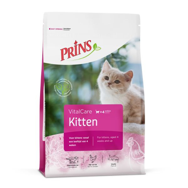 Prins kitten: voeding voor een gezonde start in het leven